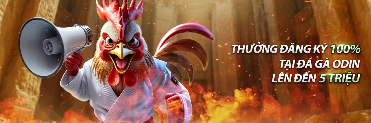 Casino trực tuyến với dealer người thật